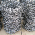 Hot-dip Galvanized Barbed Wire